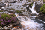 Heather Falls of Uinch, River Lee 1