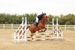 SBM_008045