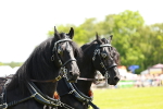 SBM_06646