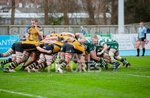 Guernsey Raiders v Hertford-33
