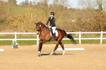 SBM_004660