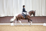 SBM_000805