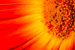 20140506-3K8A1061