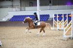SBM_001814