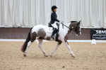SBM_006290