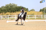 SBM_009228