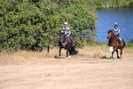 WJ6_7879
