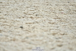 230630A-161226-03454