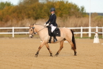 SBM_008733