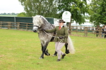 SBM_00507