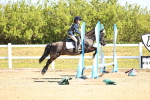 SBM_000675