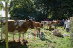 North Show_2014-23