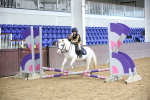 SBM_000666
