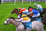 Race 7 5.20pm Sky Bet Nursery Handicap portfolio