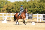 SBM_016696