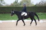 Unaffiliated Dressage portfolio