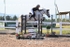 BPP_2439