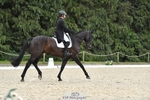 319-RINGFORT_REVE_DU_MOULIN-Andrew_Downes-WEDTrotUp+DR portfolio
