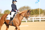 SBM_009069