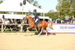 SBM_14961