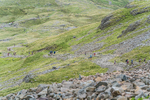 Borrowdale-687