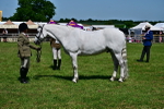 SBM_08082