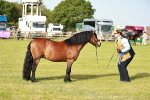 SBM_00601