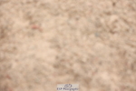 240630A-191420-16598