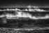 DSCF2678