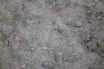 SBM_006287