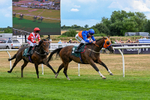 040826-Race 4-Miss Rainbow-5266
