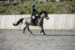 BVRC SJ 170319 197