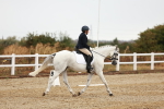 SBM_001549