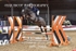 BPP_3965