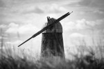 _MG_6998