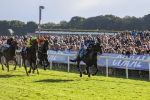 141023-Race 5-Certain Lad-0530