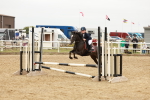 SBM_007739