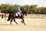 SBM_003372