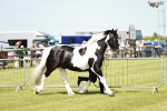 SBM_04154