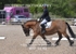 BPP_6195