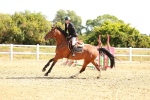 SBM_002615