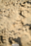 251004A-162439-02056