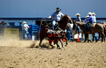 3HRodeo8-11-25_PRCASteer_02048_