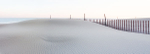 SAND FENCE - LONG POINT BEACH