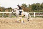 SBM_008431