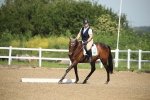 SBM_007931