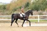 SBM_018275