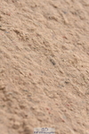 230813A-100944-11322