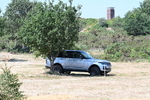 WJ7_4681