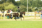 SBM_68063